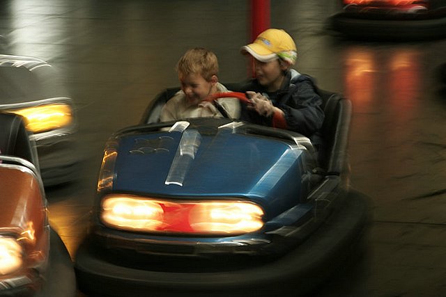 2005 Avifauna (16)